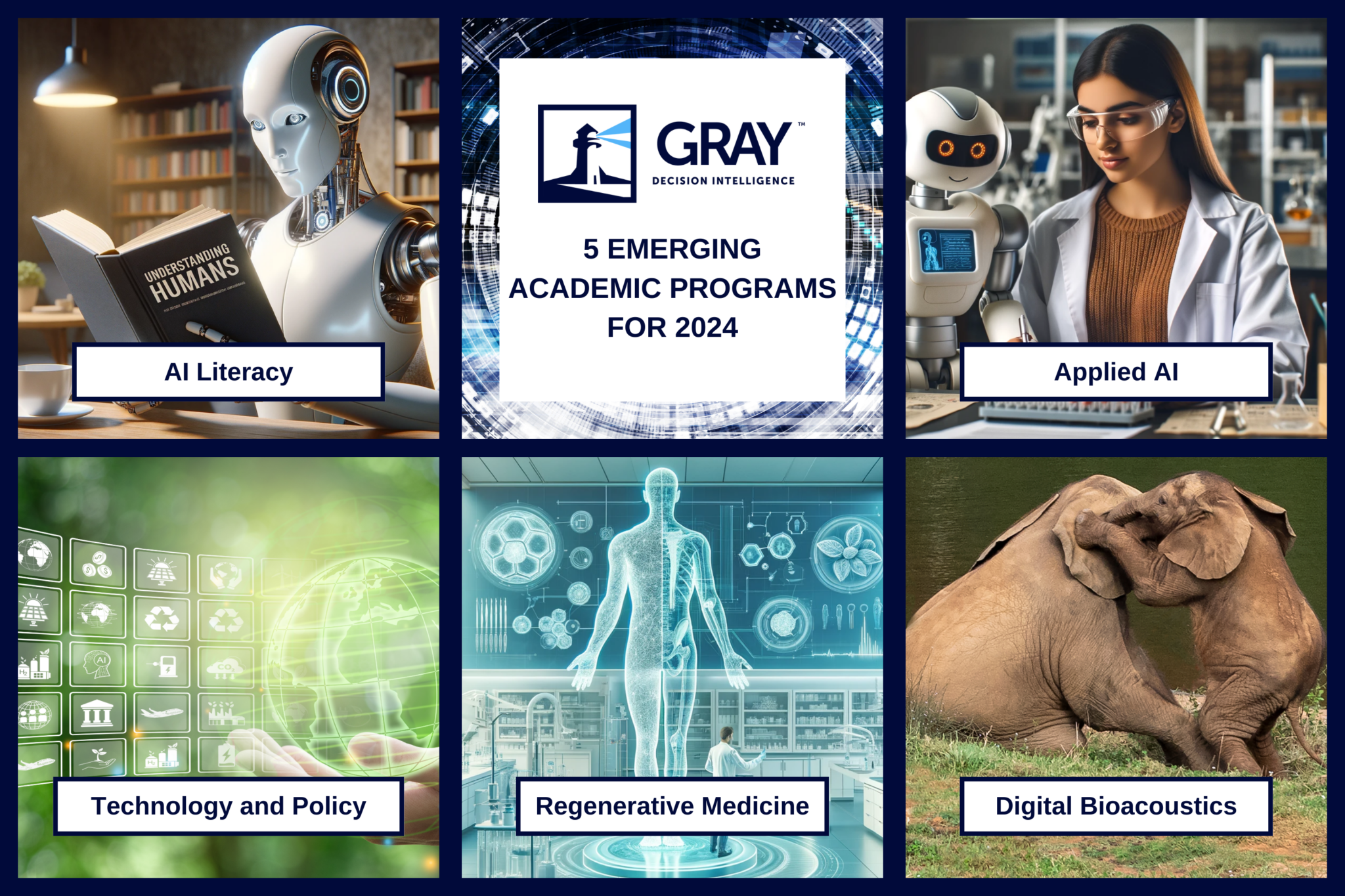 5 Emerging Academic Programs to Watch in 2024 - Gray Decision Intelligence